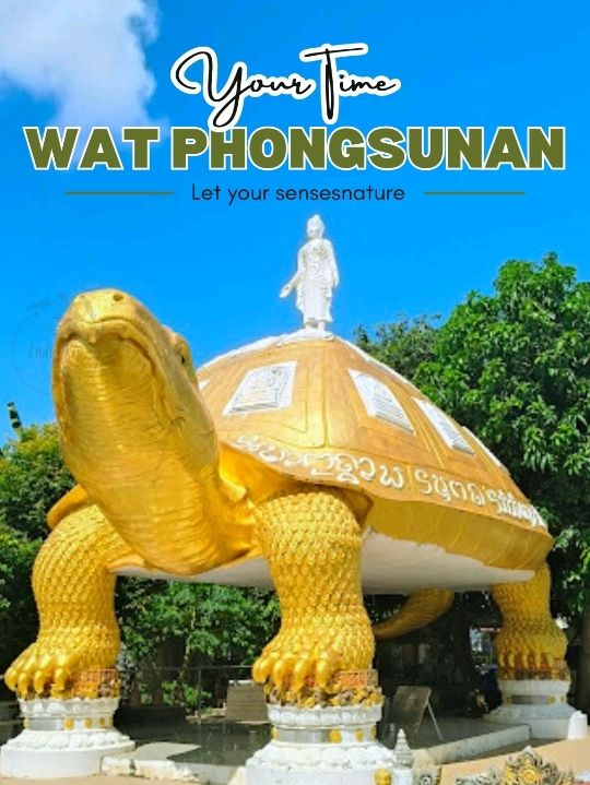 ðšāļ§āļąāļāļāļāļŠāļāļļāļ āļŦāļĢāļ·āļ āļ§āļąāļāļāļāļĐāđāļŠāļļāļāļąāļāļāđ ðšāļ§āļąāļāļāļāļŠāļāļļāļ āļŦāļĢāļ·āļ āļ§āļąāļāļāļāļĐāđāļŠāļļāļāļąāļāļāđ