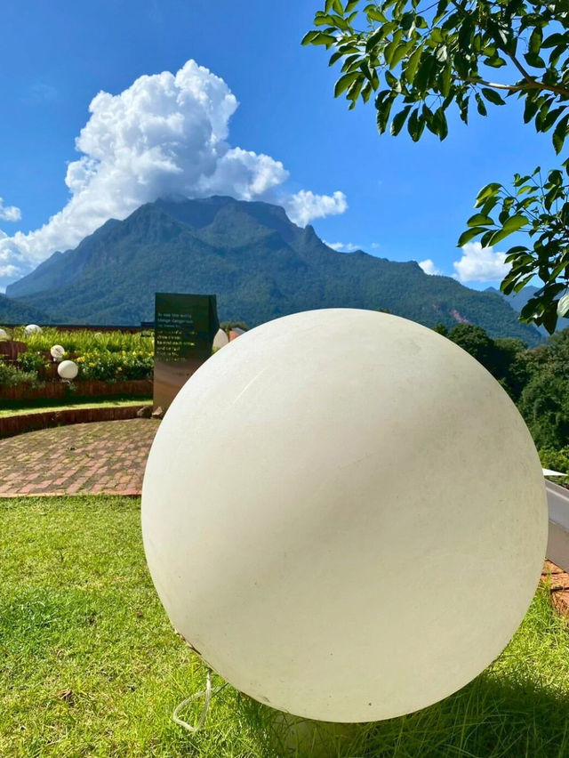 💯TATA Chiang Dao 💯TATA Chiang Dao