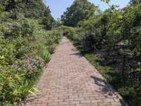Brooklyn Botanic Garden