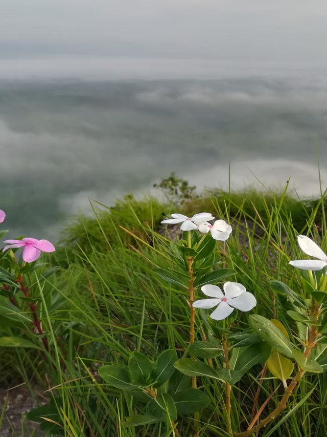 🌤️🌿 เขาเร่ สะเดา – วิวหมอกยามเช้าใกล้หาดใหญ่!