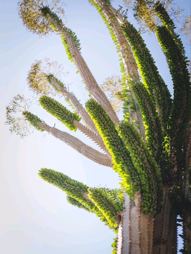 🪨 Quiet Corners & Wild Views: The Rock Garden, Tel Aviv