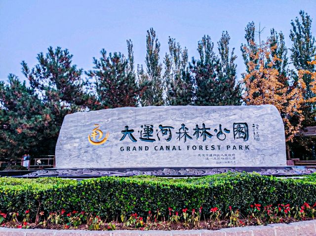 Quick Guide: Best 3 Parks to Visit in Beijing