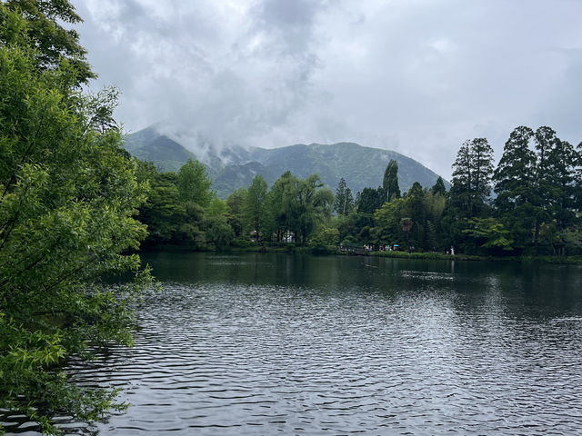Yufuin Misty Magic🌧️