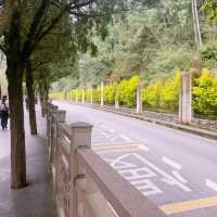 ภูเขาซีซาน คุนหมิง ประเทศจีน