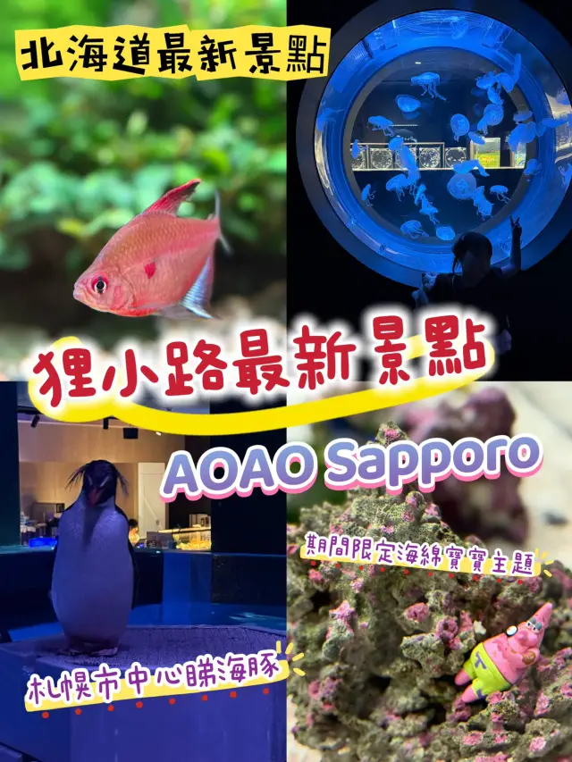 ［北海道晚間活動］全新開業AOAO Sapporo狸小路水族館