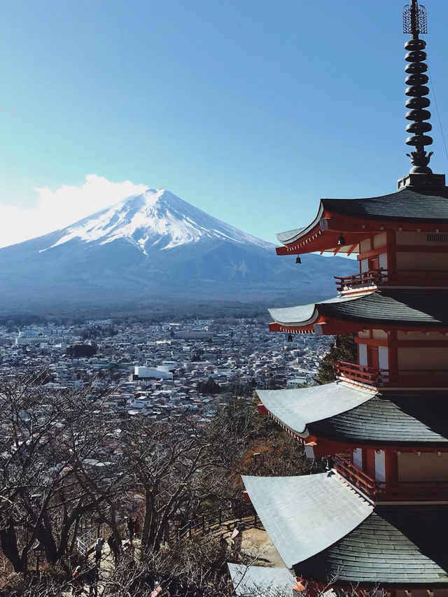 Senso-ji Temple Tokyo
