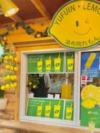 유후인노모리 타고 즐기는 유후인 여행 가이드 🚂🍂