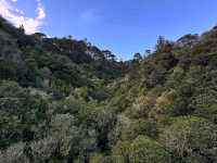 Zealandia Te Mara a Tane A Hidden Haven for Wildlife and Wonder