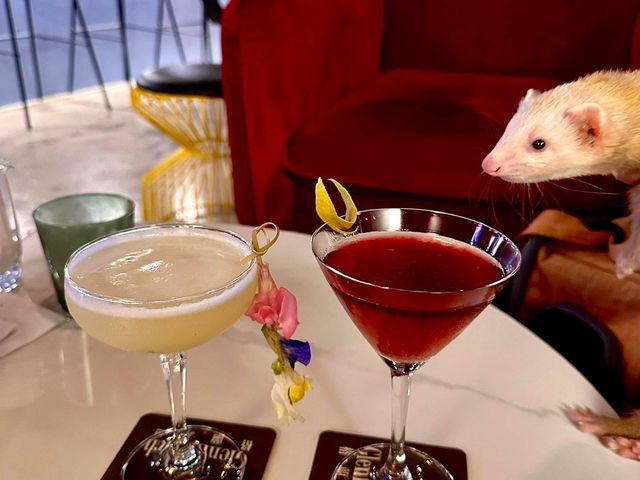 ✨ H-Topia 河馬會所｜台北林森北路一秒走進高質感私旅風酒吧 ✨