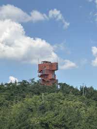 목포 여행코스 ✨