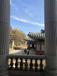 서울에서 만난 가장 아름다운 가을, 덕수궁 단풍 산책