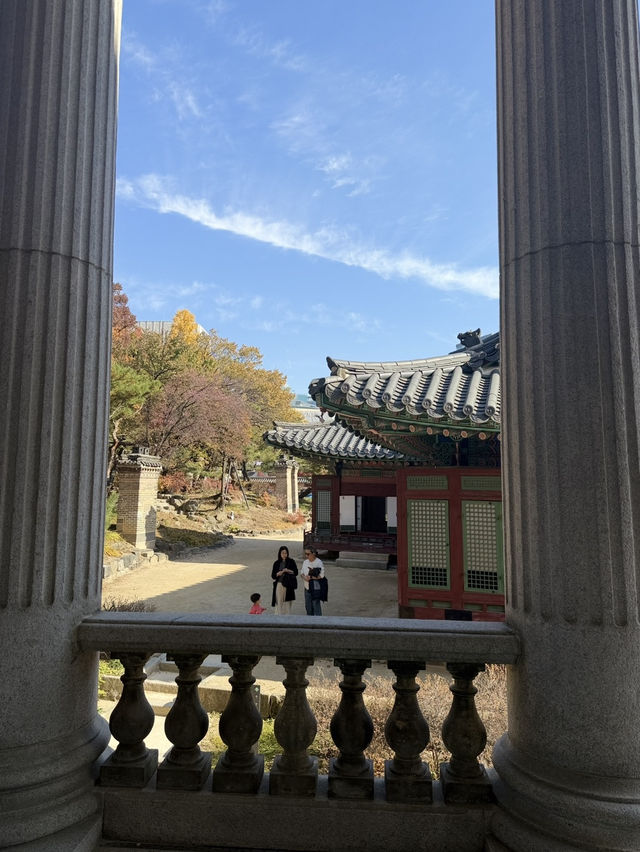 서울에서 만난 가장 아름다운 가을, 덕수궁 단풍 산책