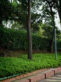 π Putrajaya Botanical Garden: A Green Paradise to Explore π