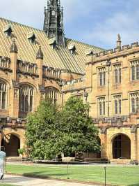 호주에서 만나는 해리 포터 학교! 시드니 대학교의 고딕 건축 캠퍼스📚