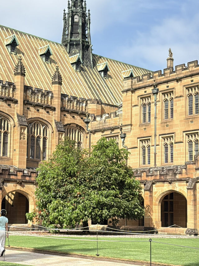 호주에서 만나는 해리 포터 학교! 시드니 대학교의 고딕 건축 캠퍼스📚 호주에서 만나는 해리 포터 학교! 시드니 대학교의 고딕 건축 캠퍼스📚