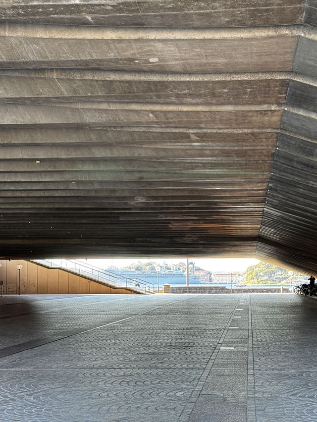 推薦歌劇院周邊散步路線悉尼歌劇院深度遊🔥 世界文化遺產，貝殼建築靚到捨唔得走！