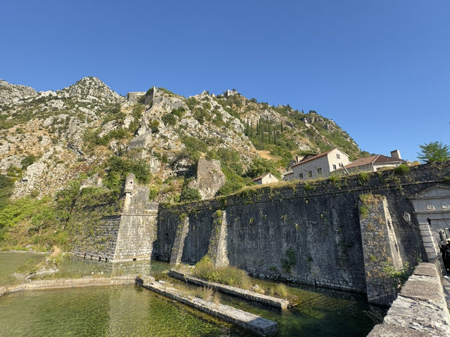 🏰🌊 OLD TOWN KOTOR — MONTENEGRO’S HISTORIC JEWEL 🇲🇪✨