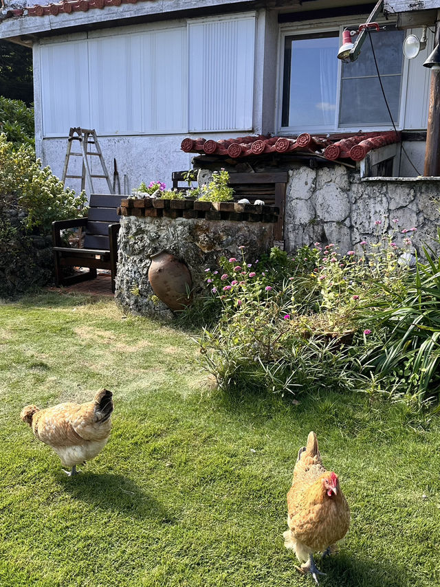 평화로운 남쪽의 작은 섬 요론