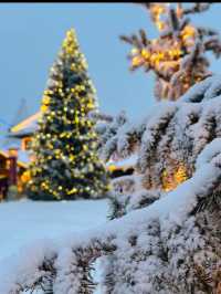 Stepping Into the Real-Life North Pole: Rovaniemi’s Christmas Magic ✨🎅❄️