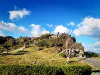 🎄 Festive Stroll: Recharge at Maobitou Park