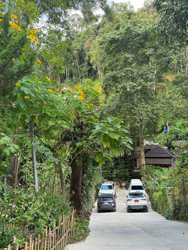 Proud Proud Proud Coffee — คาเฟ่สุดอบอุ่นกลางป่า Proud Proud Proud Coffee — คาเฟ่สุดอบอุ่นกลางป่า