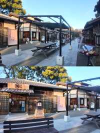 名古屋必打卡！金鯱橫丁穿越江戶時空的美食秘境🏯