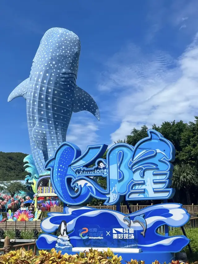 One-Day Trip Without Backtracking: Unlock the Wonders of Chimelong Ocean Kingdom in Zhuhai