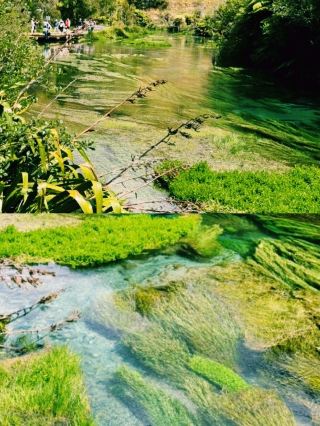 Blue Springs, New Zealand | Incredible Blue Tones Created by Nature