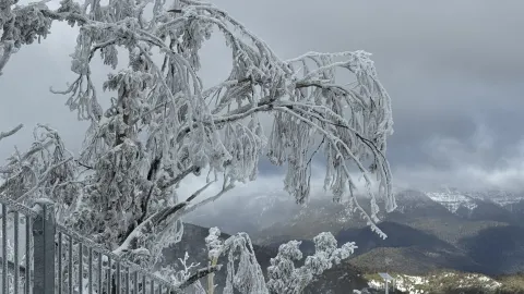 Buller Snow Magic❄️ — traveler post in Mount Buller