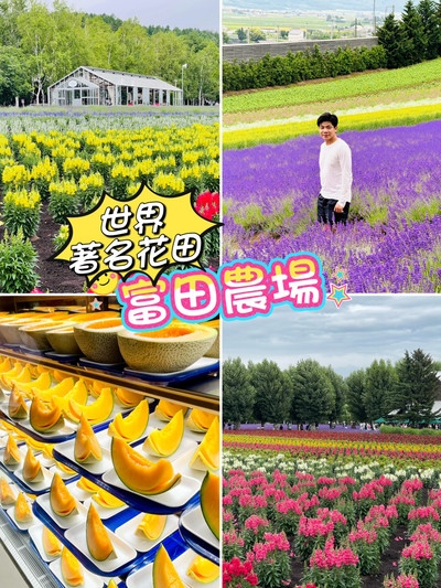 ★美瑛・富田ファームの花畑・★富良野・富田ファームの花畑２点(こたろう) 北海道ファーム富田、虹色の花畑が広がる夢のSNS映えスポット。 | Trip