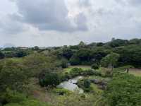 🌺 A Scenic Hideaway: Camellia Hill, Jeju