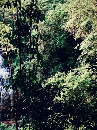 ペルー ラウラ ラグナ・パタルコチャ：苔むした崖と鉱山の谷。