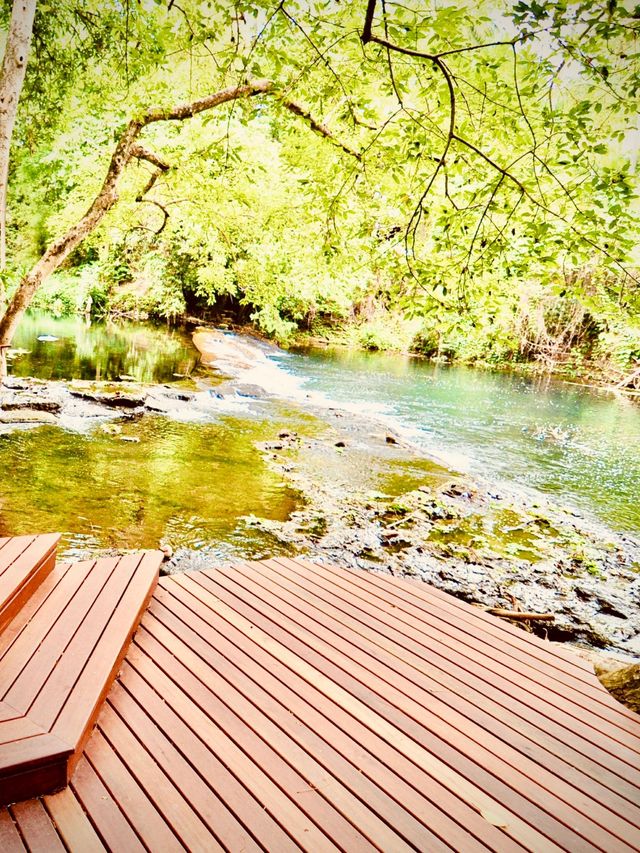 Indonesia Sumatra Bukit Lawang Mossy Orangutan Jungle Patheasytravelpost #BukitLawang #GunungLeuser