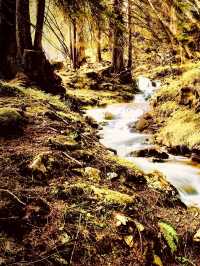 Montenegro Durmitor Black Lake Mossy Bobotov Kuk Ridgeeasytravelpost #Durmitor #BlackLake #BobotovK