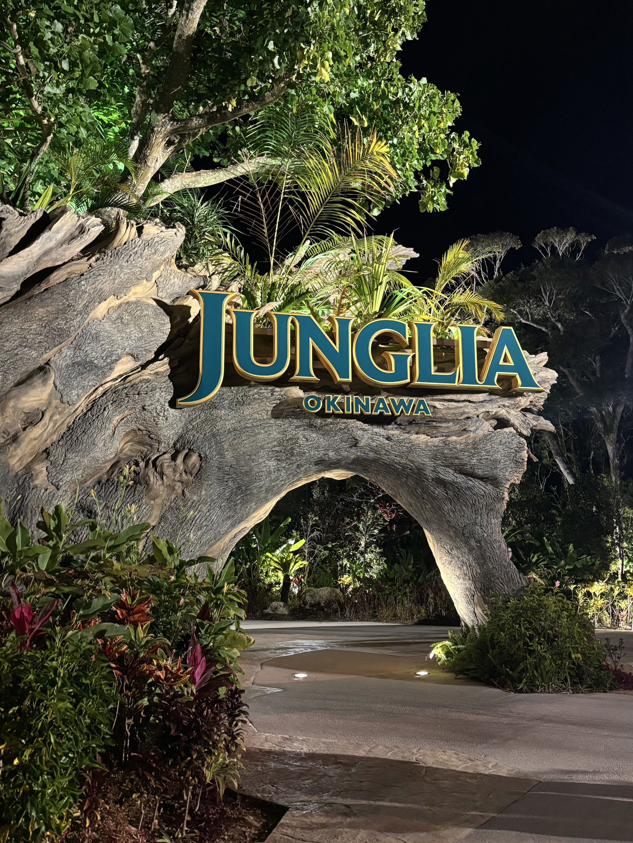 Junglia is such a blast after its soft opening!