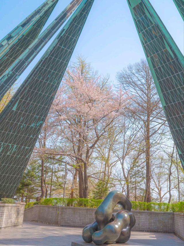 봄이오면 벚꽃나무로 아름다운 이곳"자유공원"