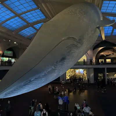 American Museum of Natural History: The 5 Halls - Carltonaut's Travel Tips