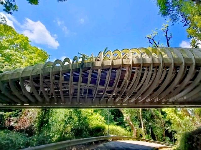 直落布蘭雅山公園