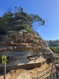 【シドニー郊外】癒し旅。Terrigal Beachでのんびり海ランチと、かわいいペリカンたちに会える場所