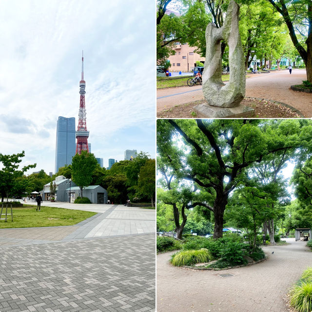 【東京都🇯🇵芝公園】都会のオアシス☺️東京タワーを見ながらのんびり散歩