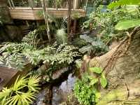 ✨🦜我在紐約中央公園動物園觀雀的樂趣✨