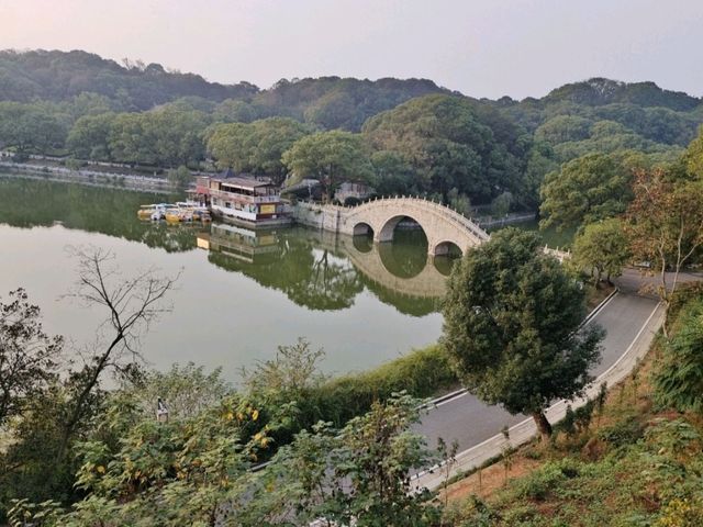 君山島必去景點一日遊🌳 君山島必去景點一日遊🌳