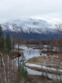 ชมวิถีชีวิตปลาแซลมอนว่านทวนน้ำ 