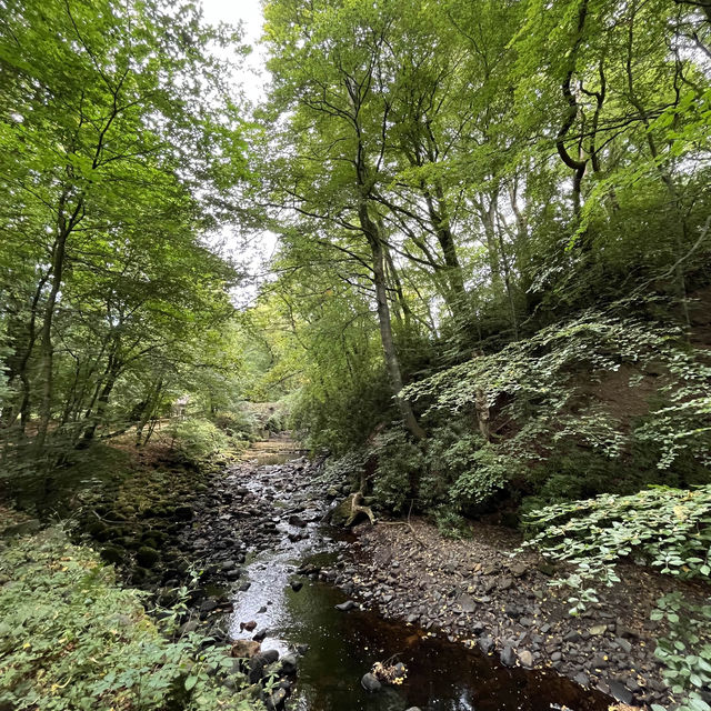 Dean Castle Country Park