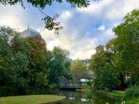 Botanical Garden Bruxelles 🌴