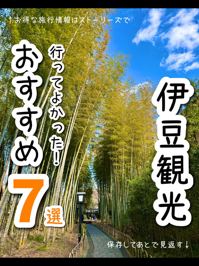 【静岡】伊豆のおすすめ観光スポット7選♨️