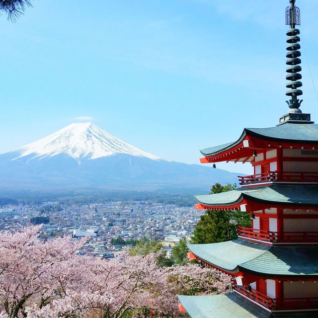 Sakura Spectacle: Tokyo's Blossom Ballet!🌸