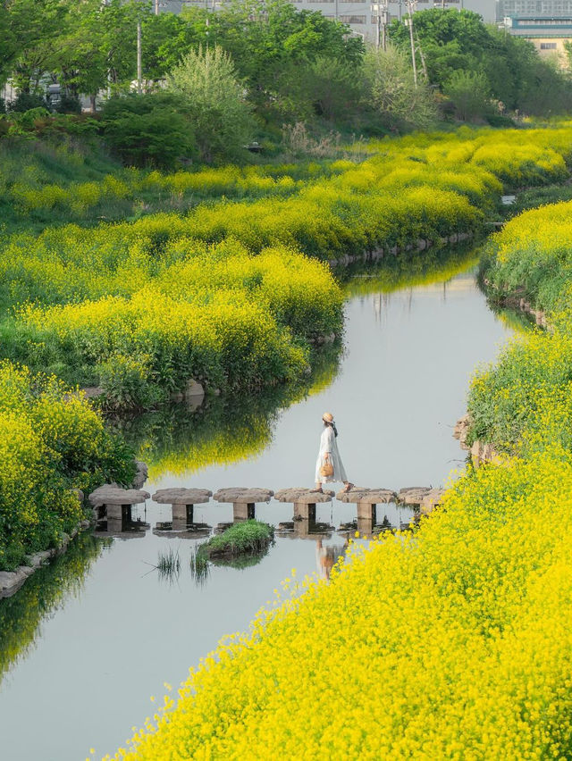 🪴 월암교 🌻 