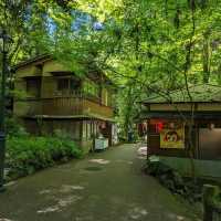 Osaka, Japan, Minoh waterfall.