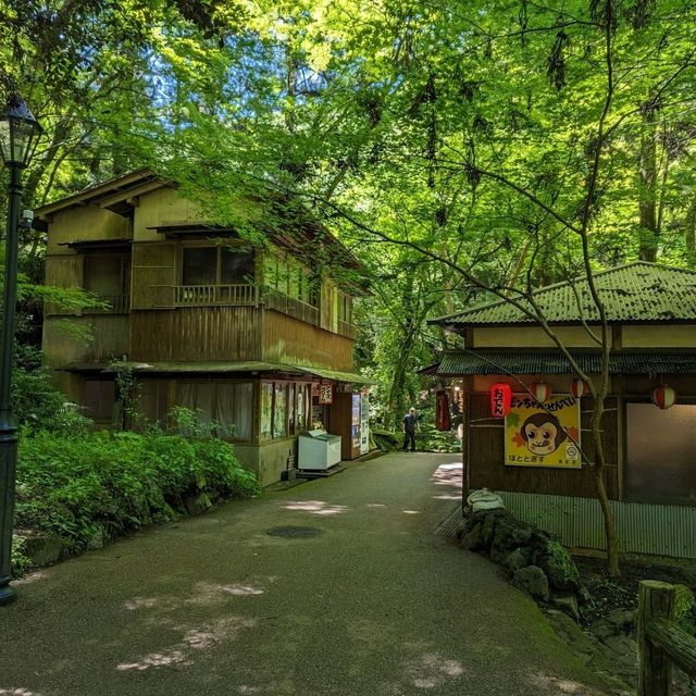 Osaka, Japan, Minoh waterfall.